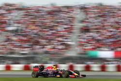 Daniel Ricciardo, Red Bull Racing RB11