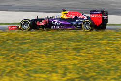 Daniel Ricciardo, Red Bull Racing RB11