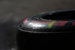 Шина Pirelli
