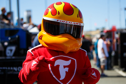 Firestone Firehawk