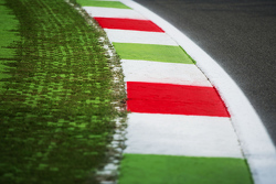 Dettaglio del circuito, un cordolo