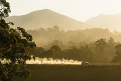 Nasser Al-Attiyah y Matthieu Baumel, Ford Fiesta RRC