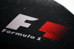 Een nat F1 logo