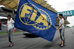 Drapeau FIA