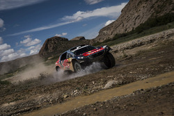 Себастьен Лёб, Даниэль Элена, #314 Peugeot