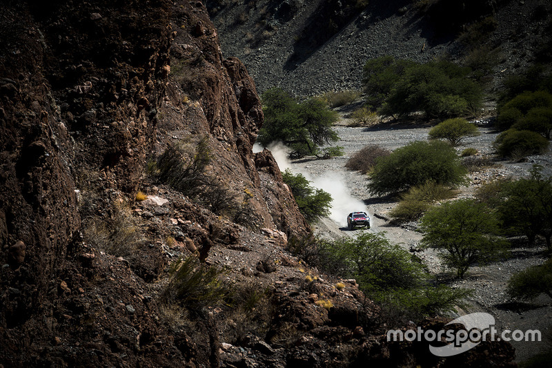 #321 Peugeot: Cyril Despres, David Castera