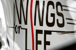 Ліврея Wings For Life на Red Bull Racing Девіда Култхарда