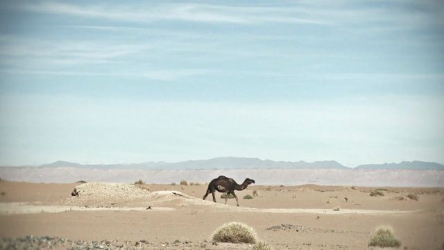 Morocco Rally 2012: Team Red Bull